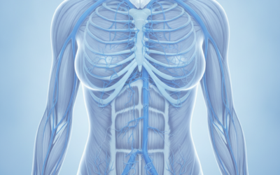 Can Thyroid Dysfunction Contribute to Pelvic Pain & Vein Health?