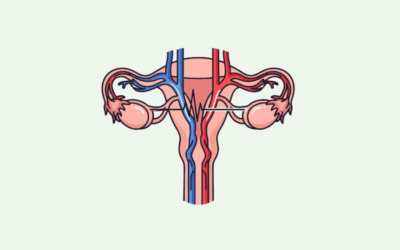 A Patient’s Guide to Minimally Invasive Treatment for Pelvic Venous Disease